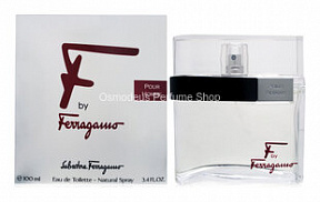 Salvatore Ferragamo F by Ferragamo Pour Homme
